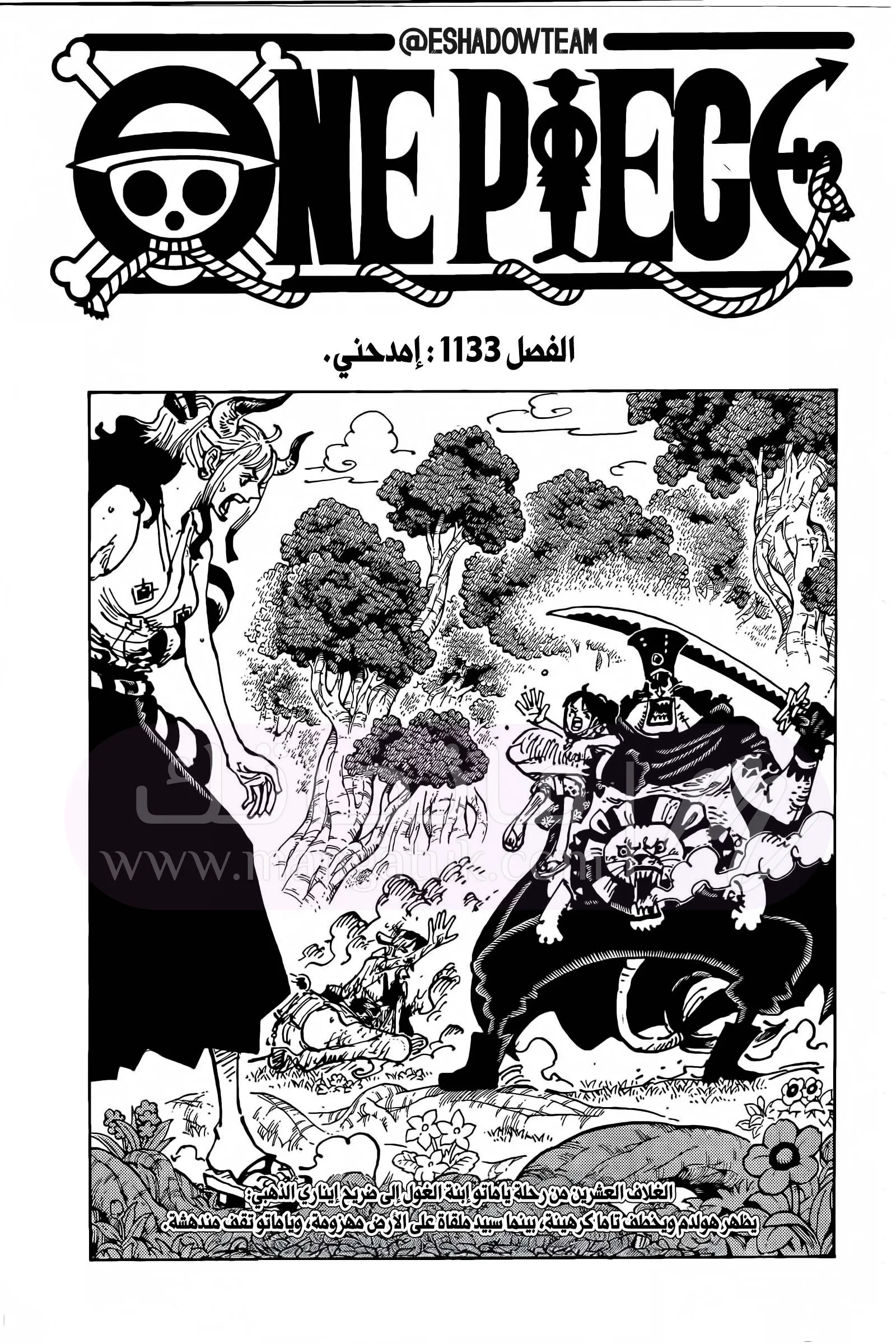 الصفحة 12