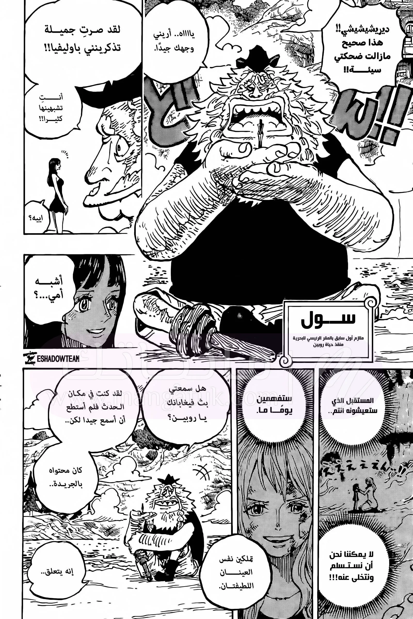 الصفحة 13