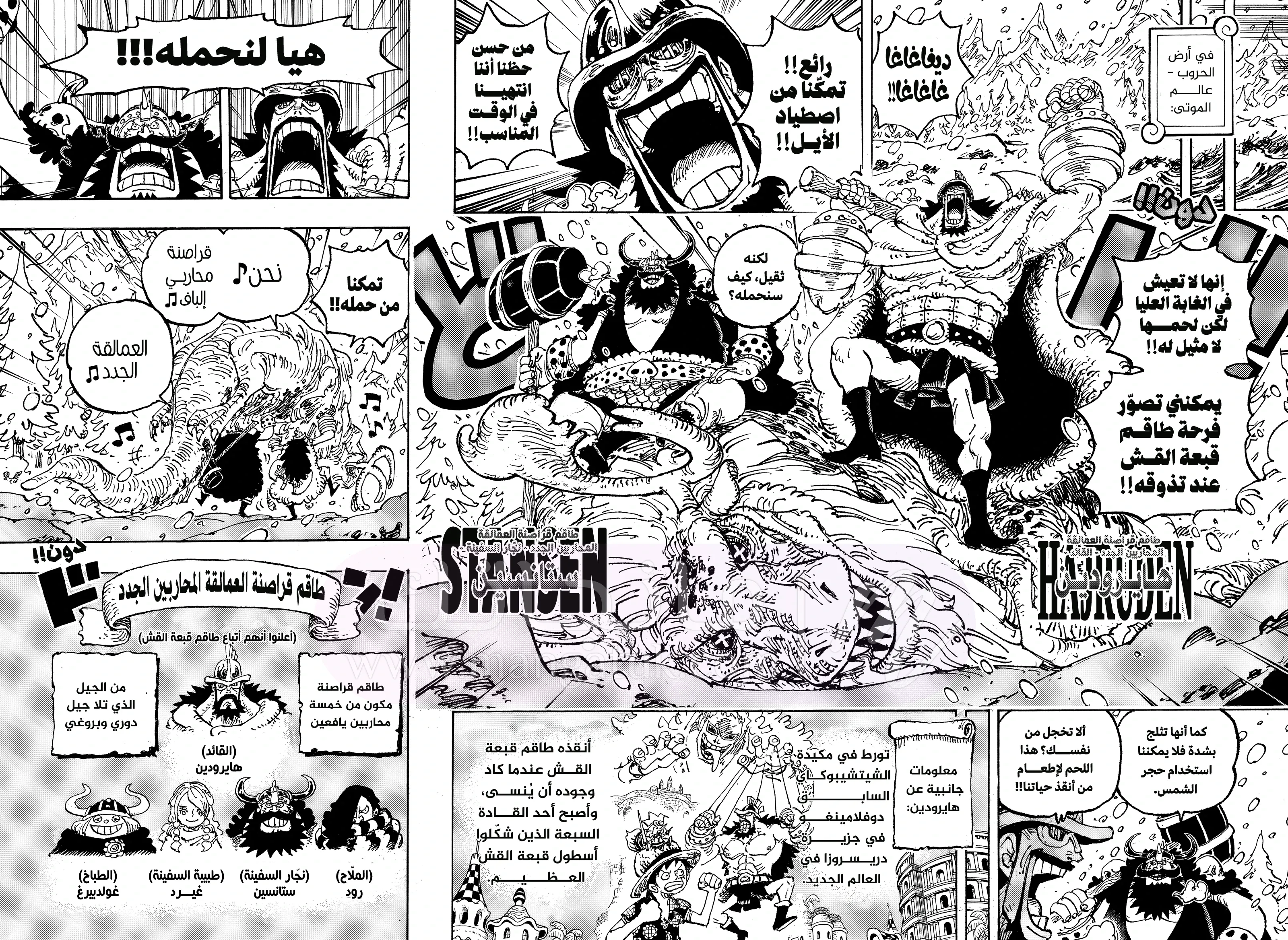 الصفحة 13