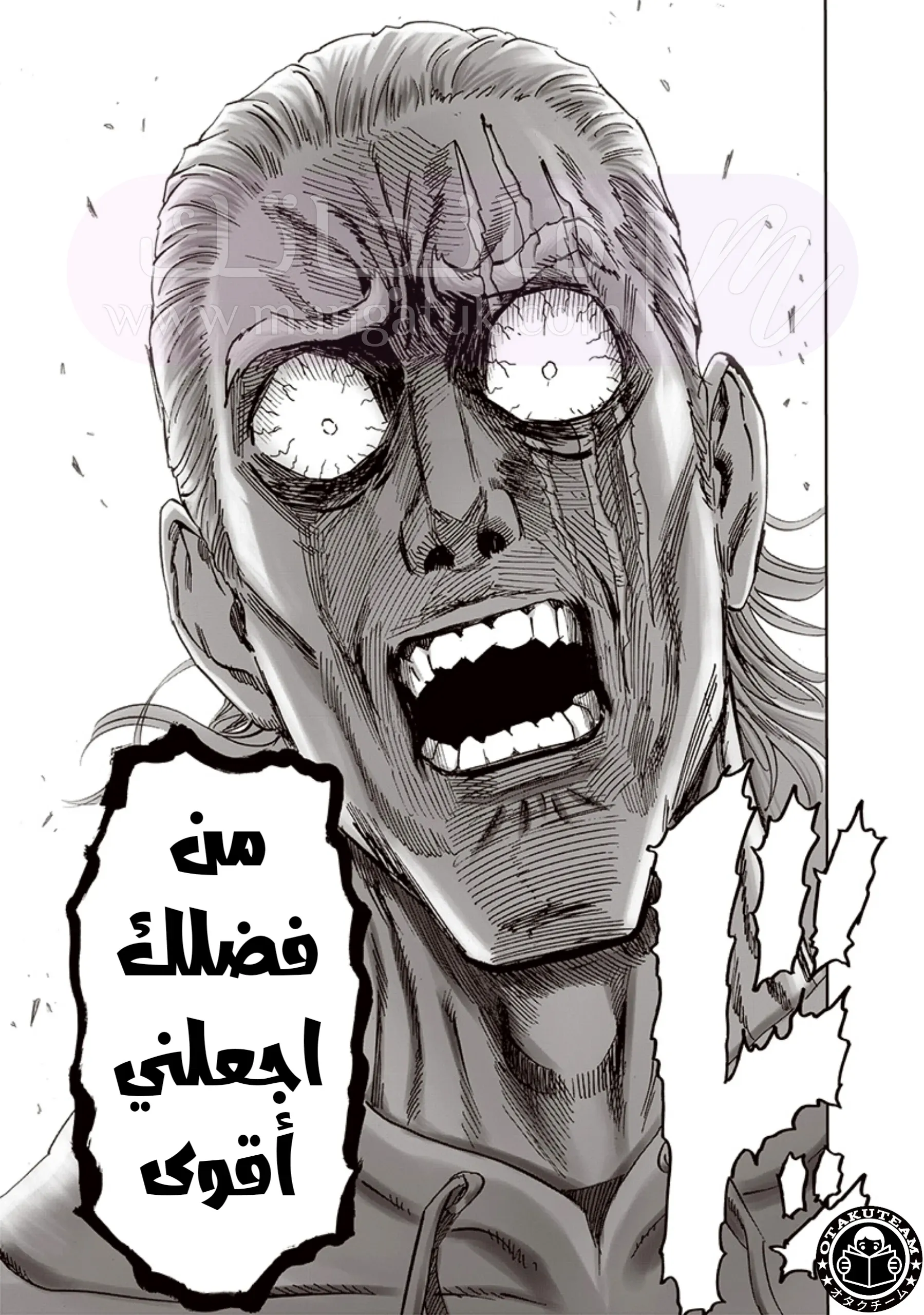 الصفحة 32