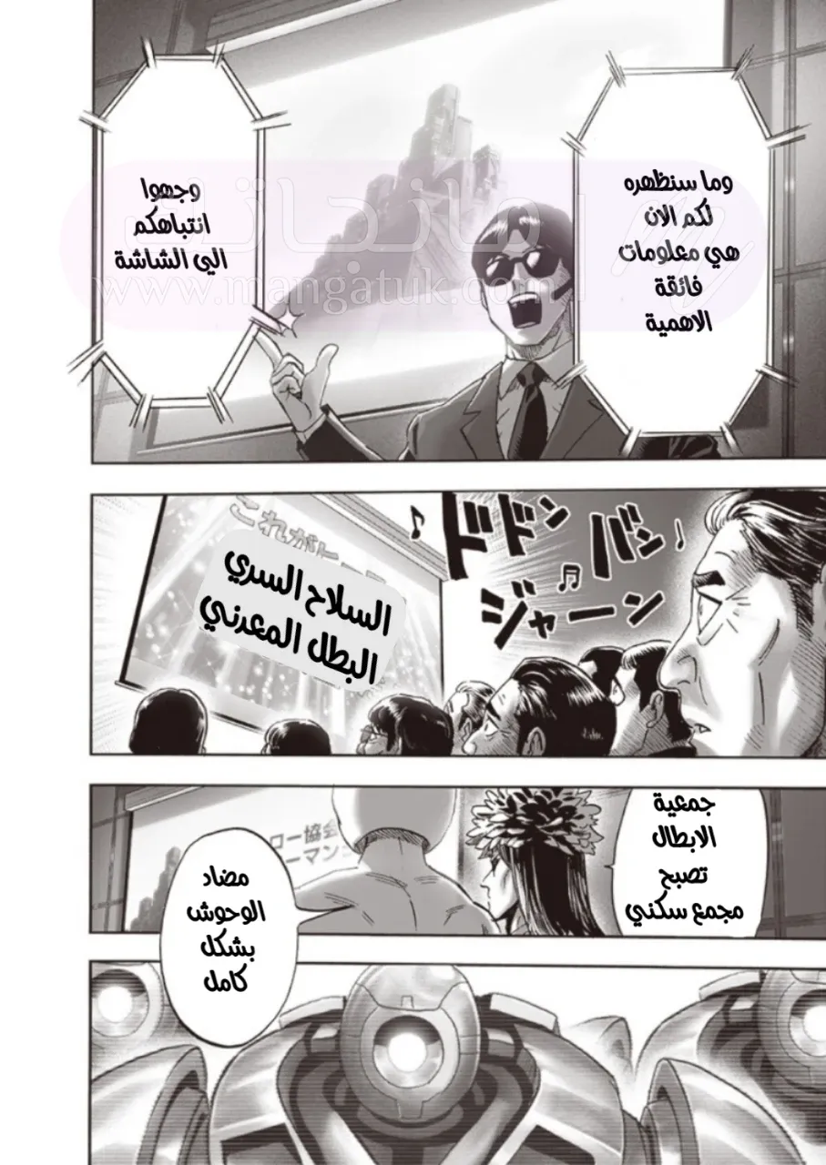الصفحة 13