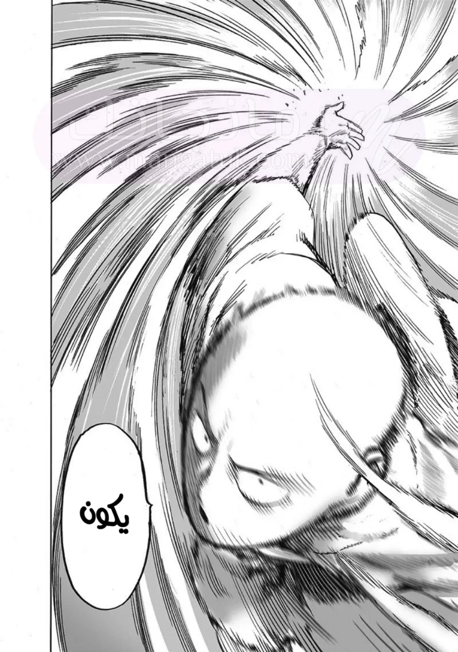 الصفحة 21