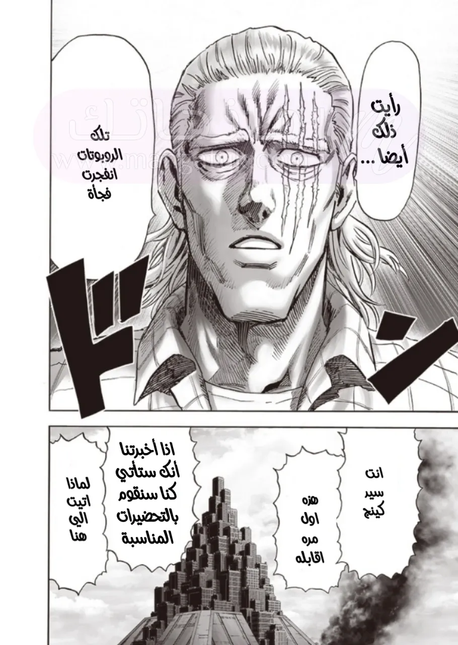 الصفحة 33