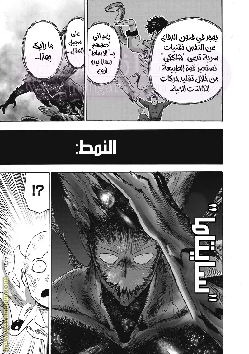 الصفحة 17