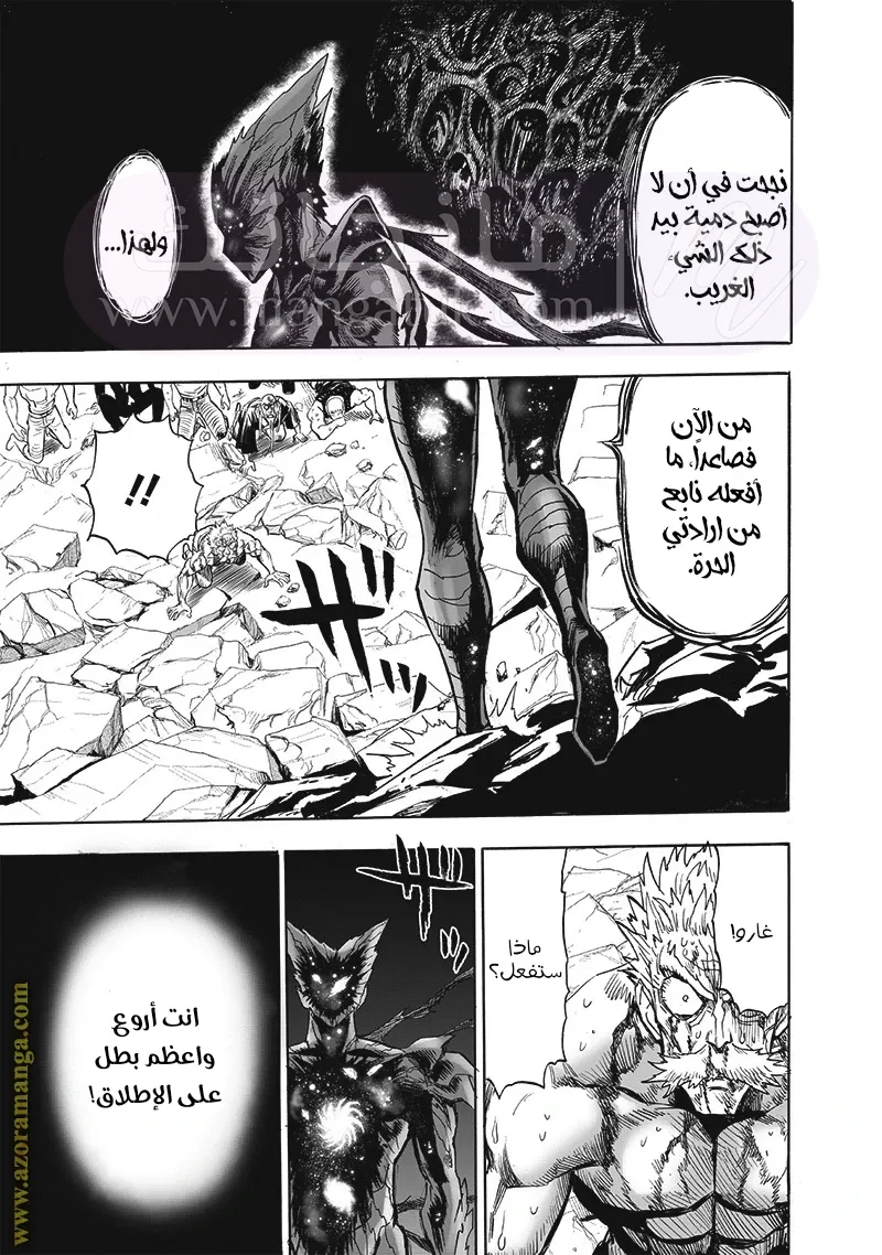 الصفحة 43