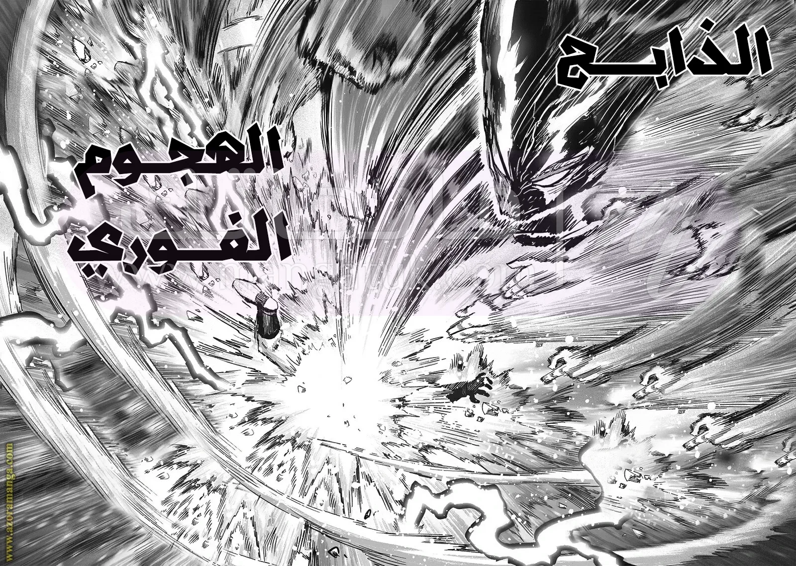 الصفحة 13