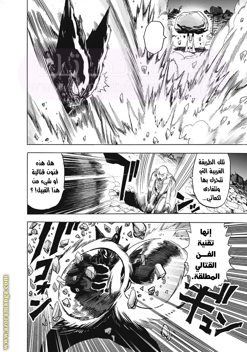 الصفحة 14