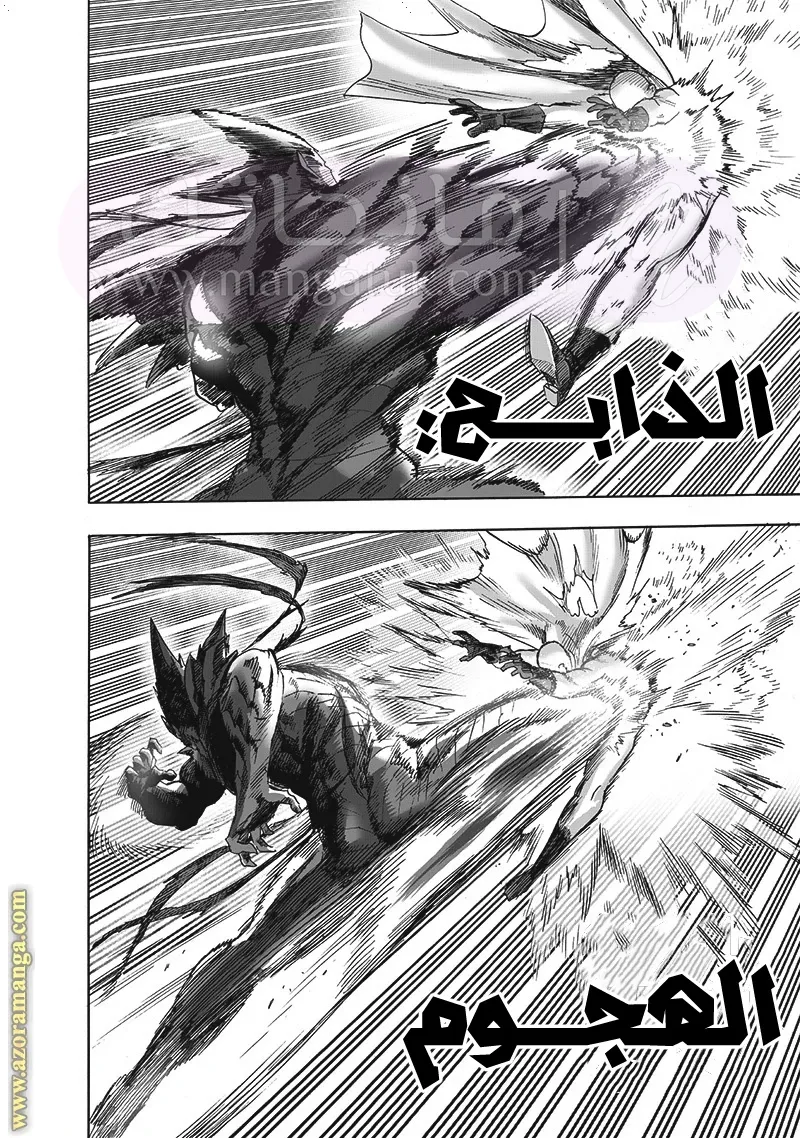 الصفحة 16
