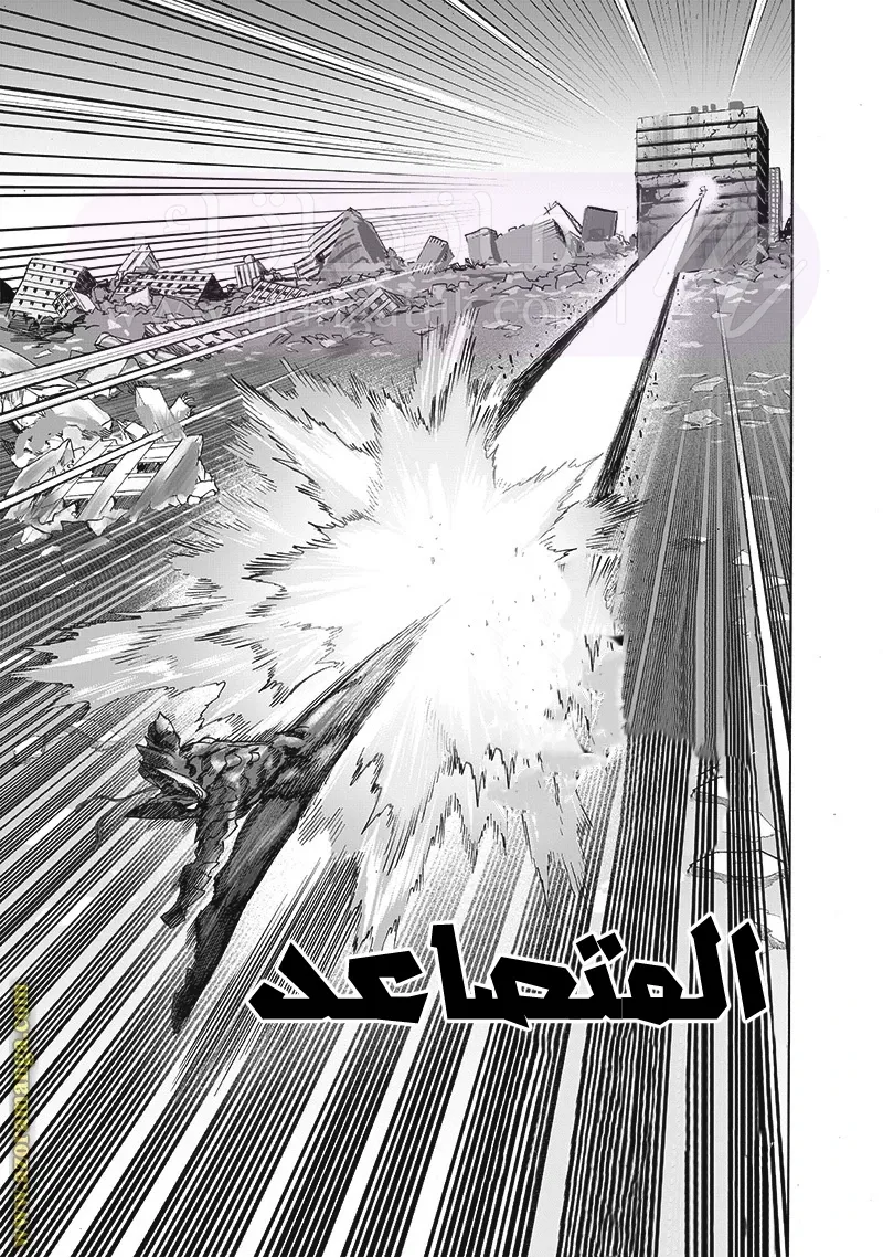 الصفحة 17