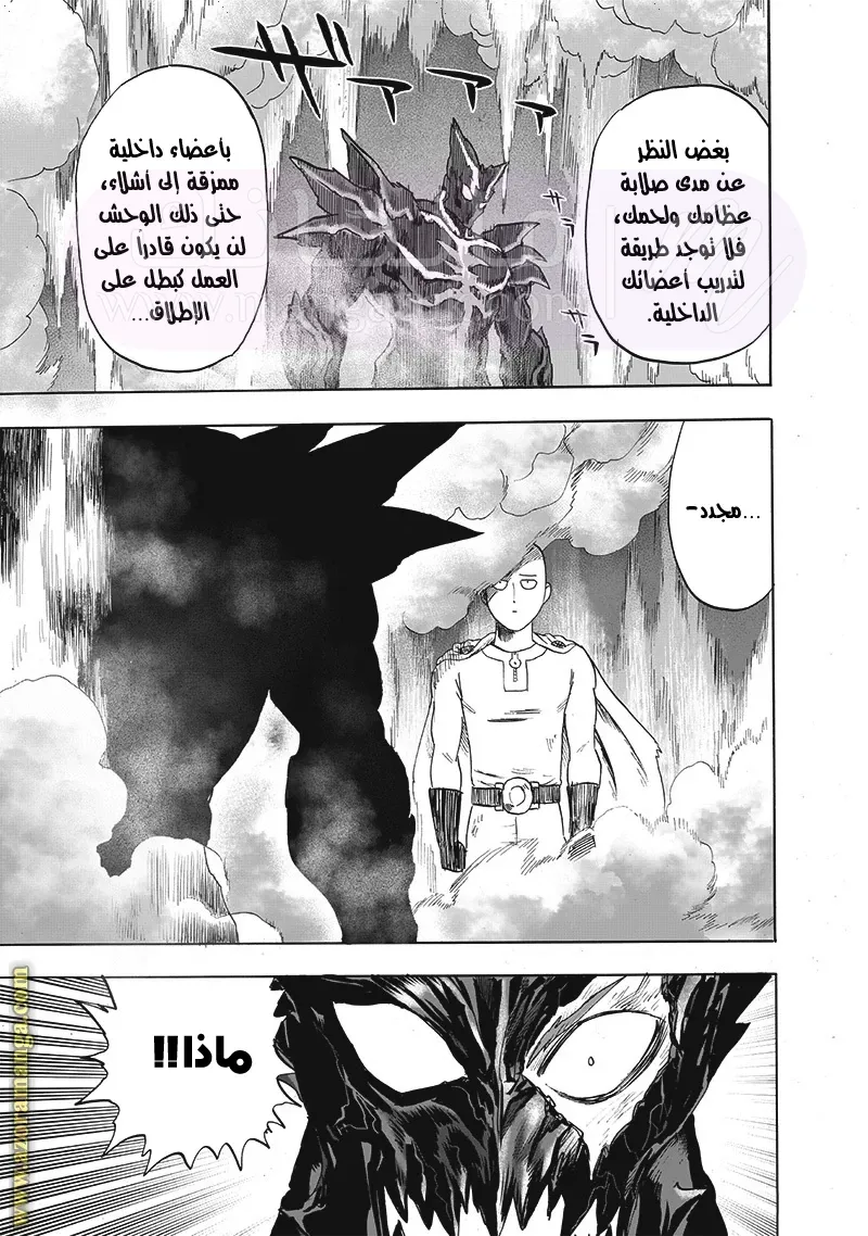الصفحة 24