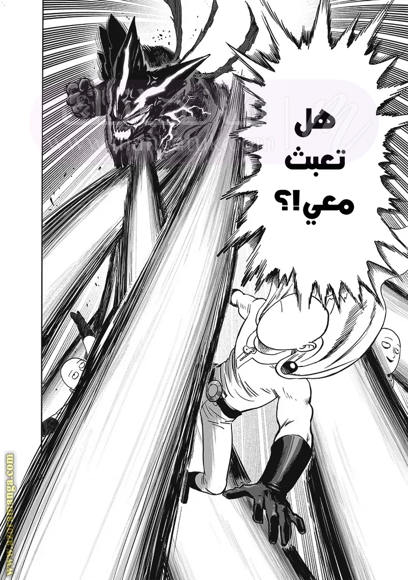 الصفحة 29