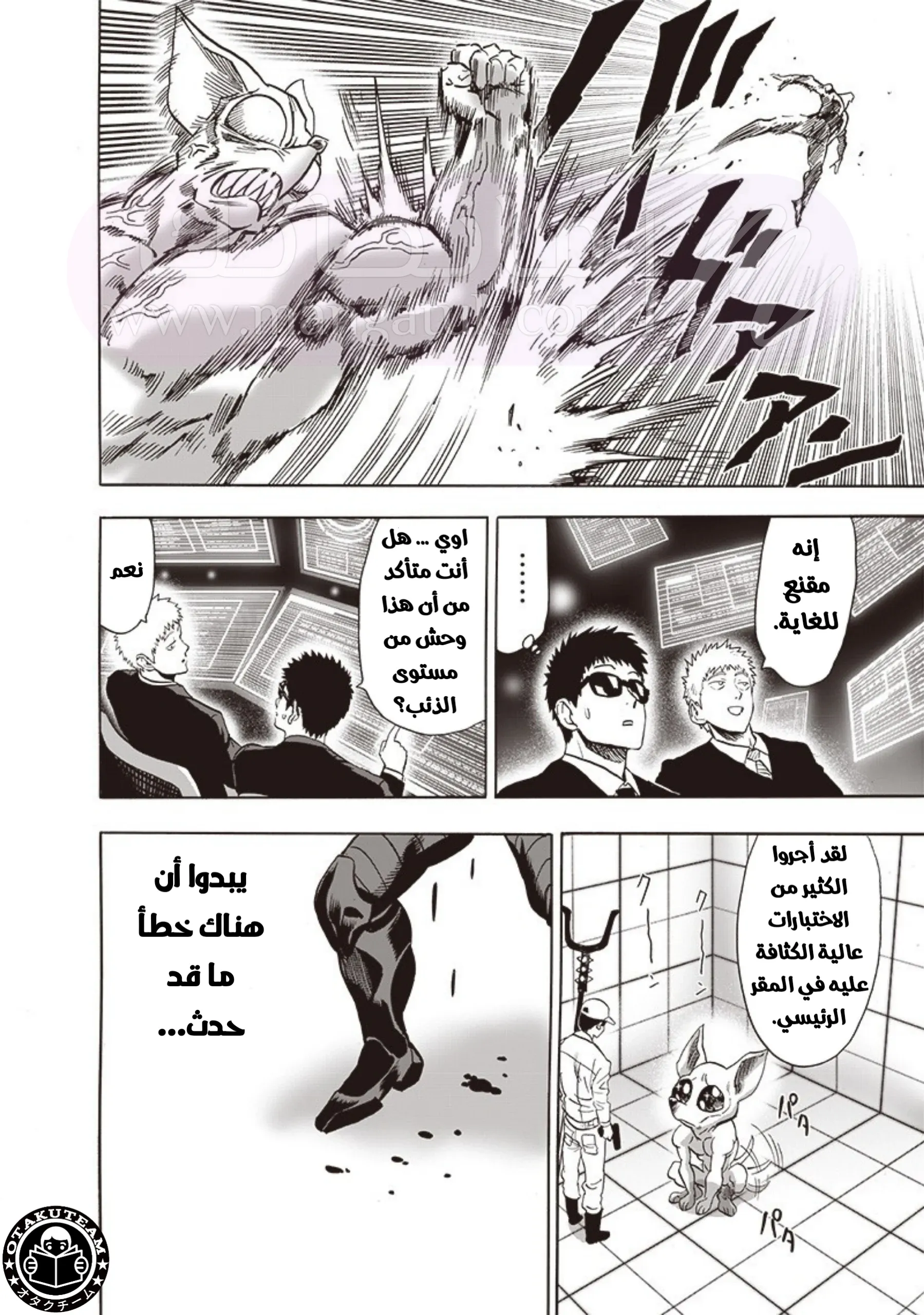 الصفحة 19