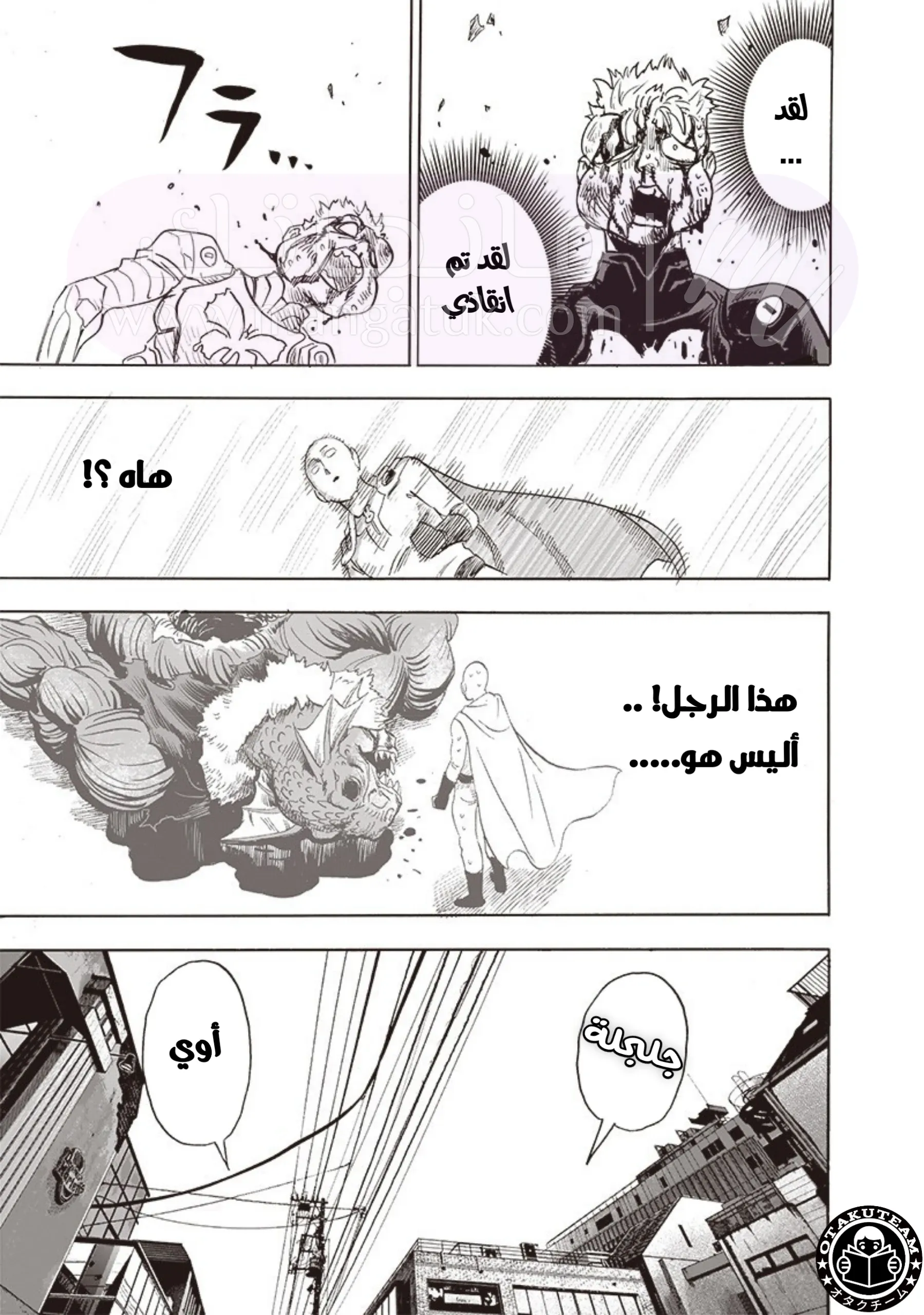 الصفحة 29