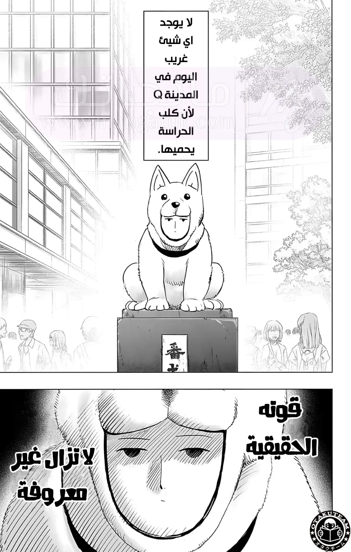 الصفحة 7