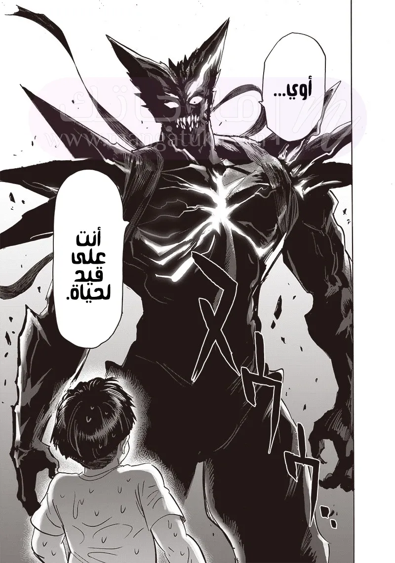 الصفحة 24