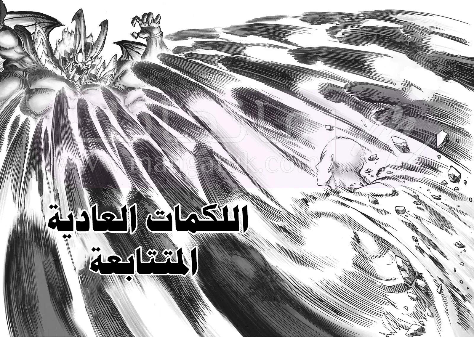 الصفحة 19