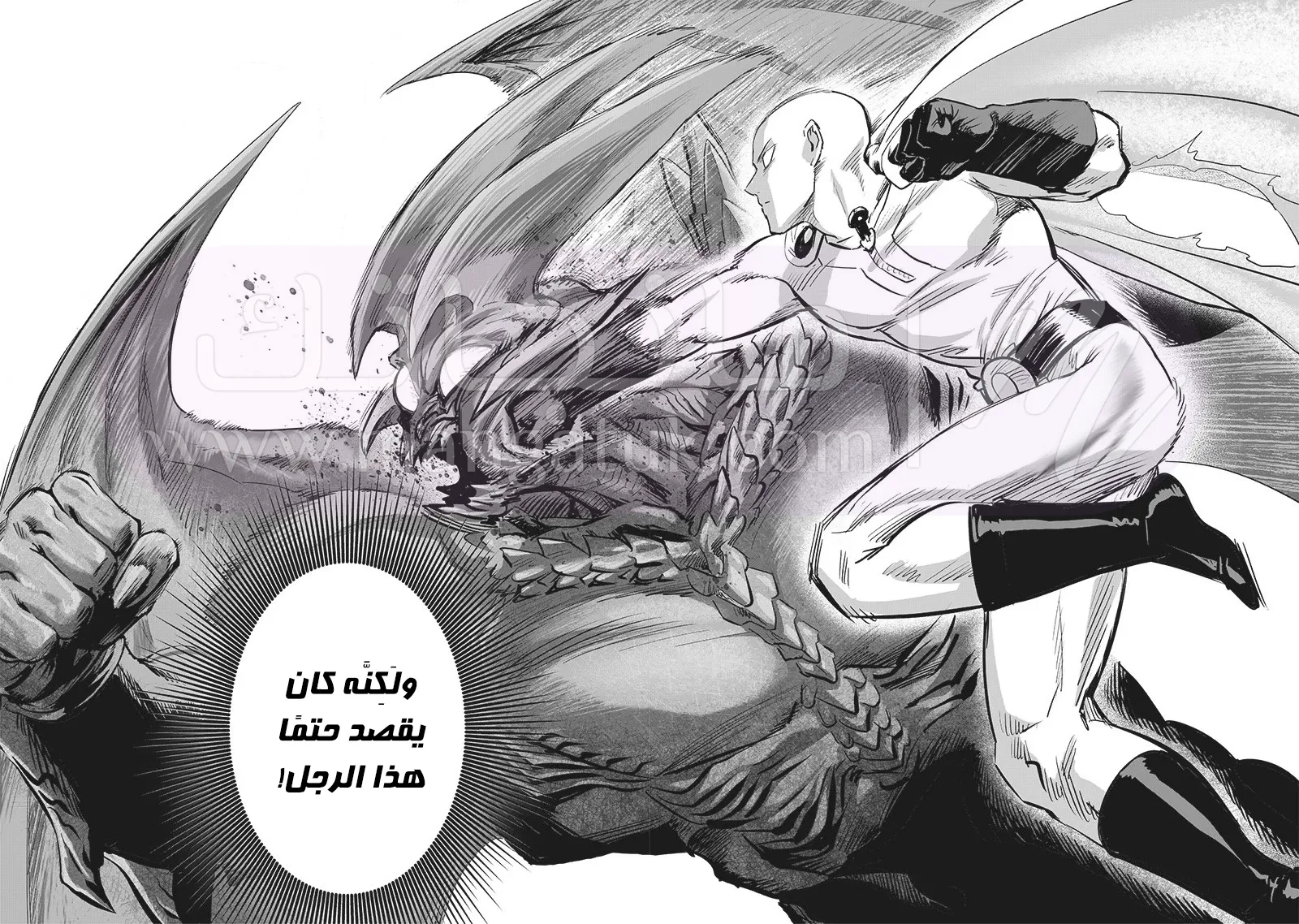 الصفحة 22