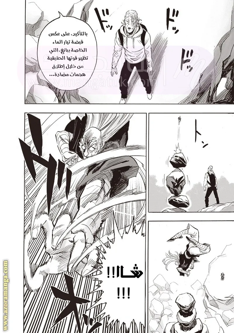 الصفحة 13
