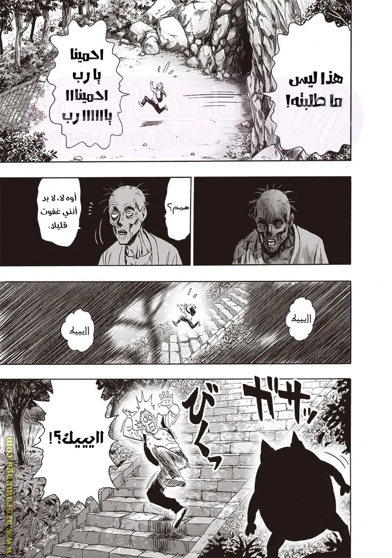 الصفحة 25