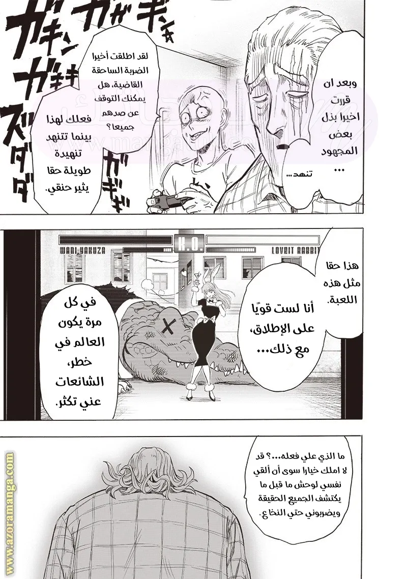 الصفحة 27