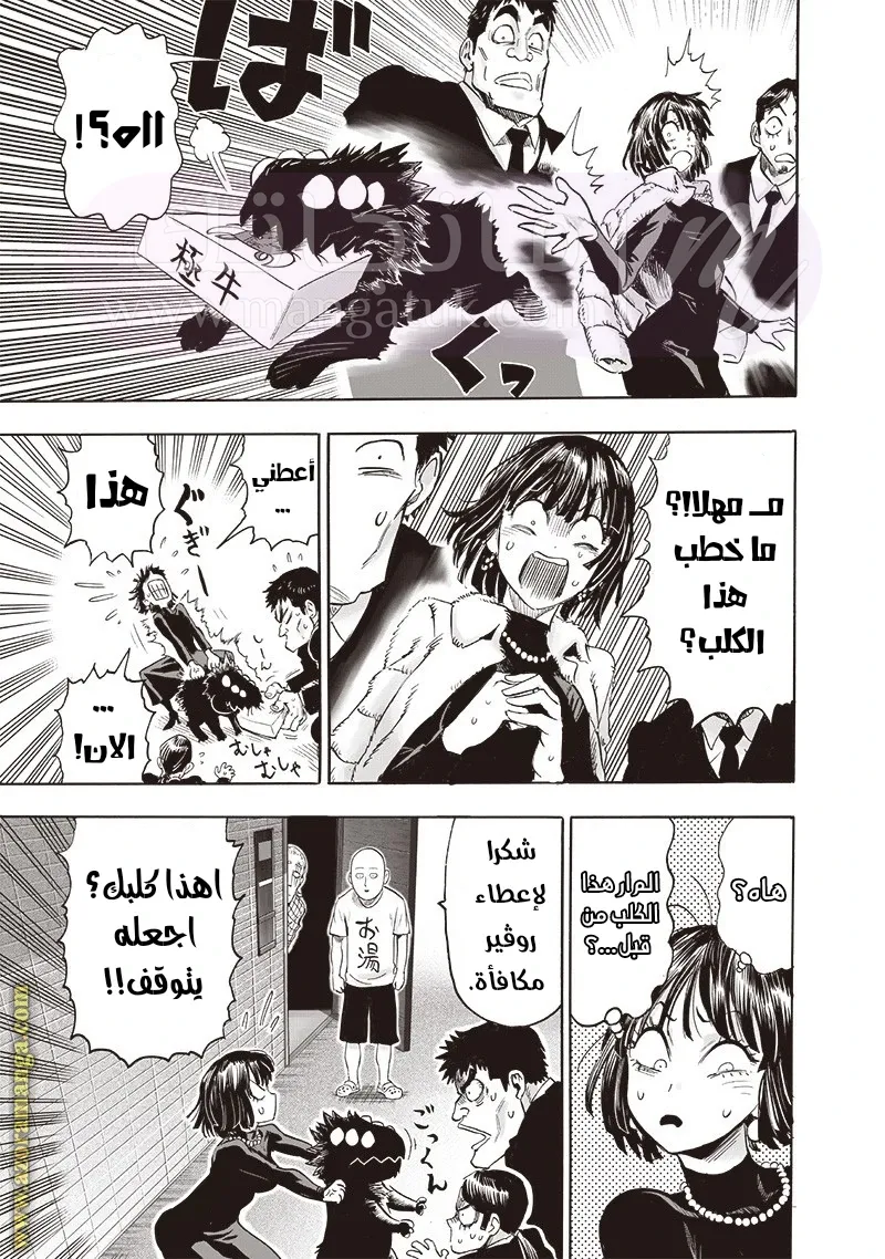 الصفحة 33