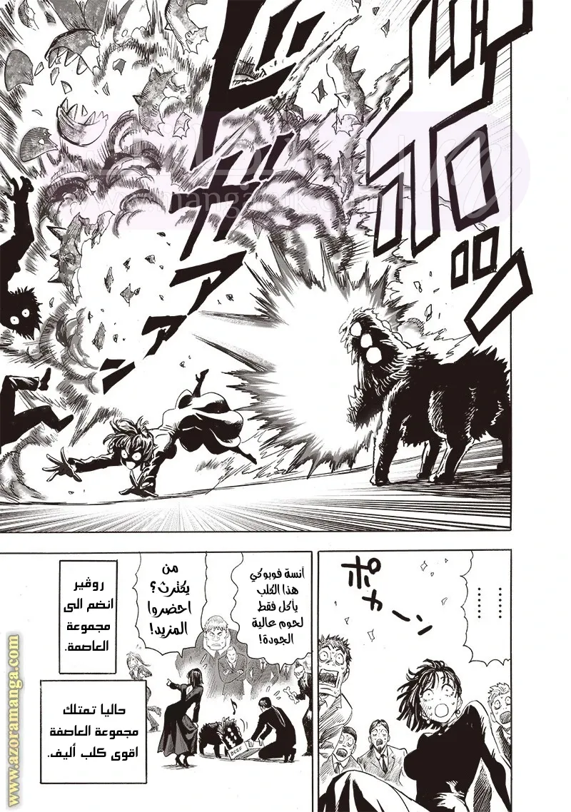 الصفحة 35