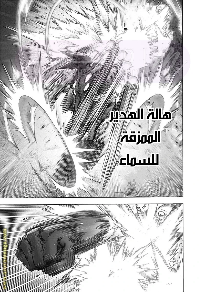 الصفحة 30