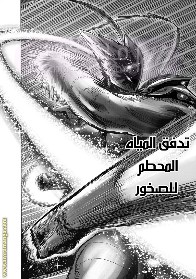 الصفحة 31