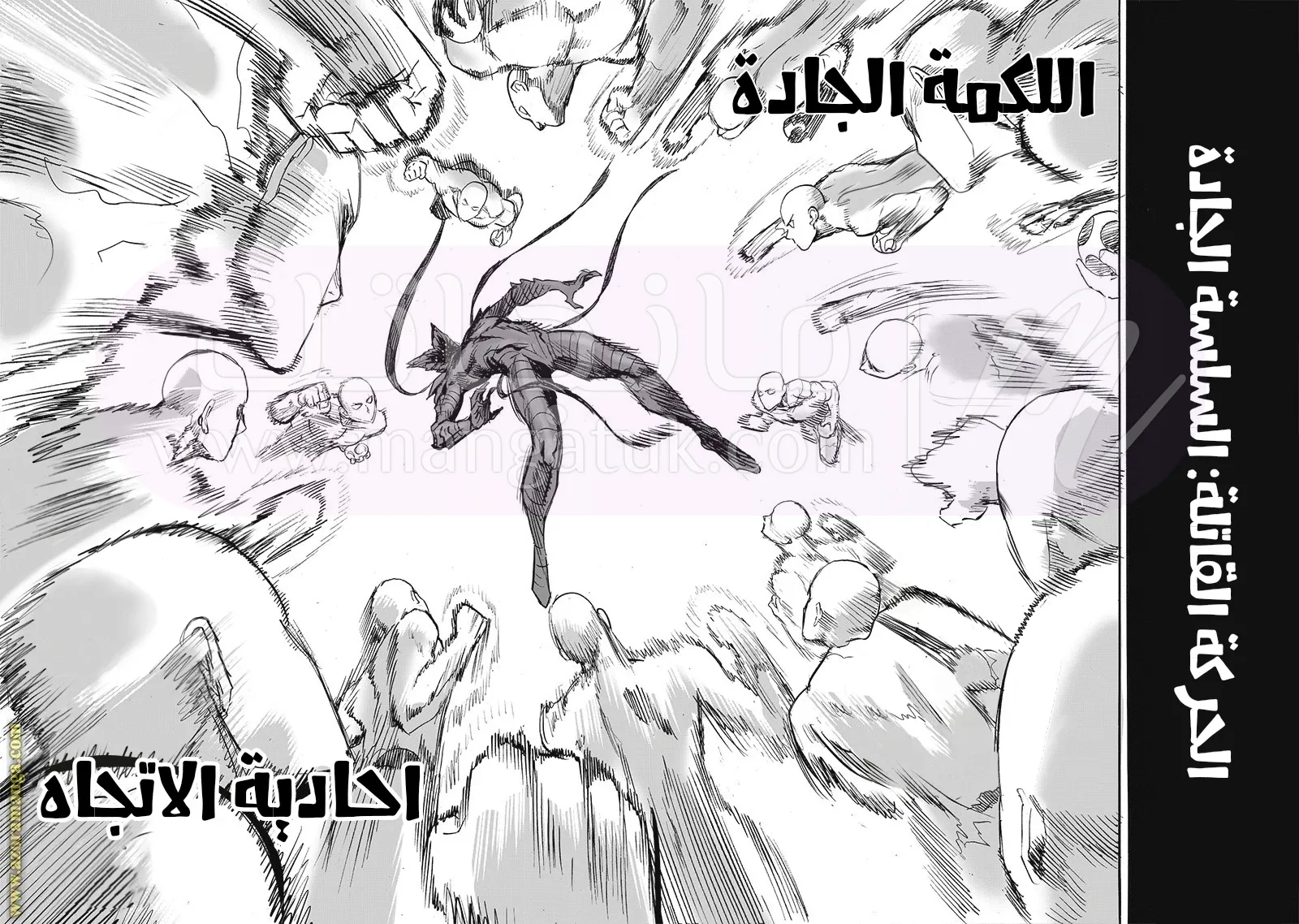 الصفحة 43