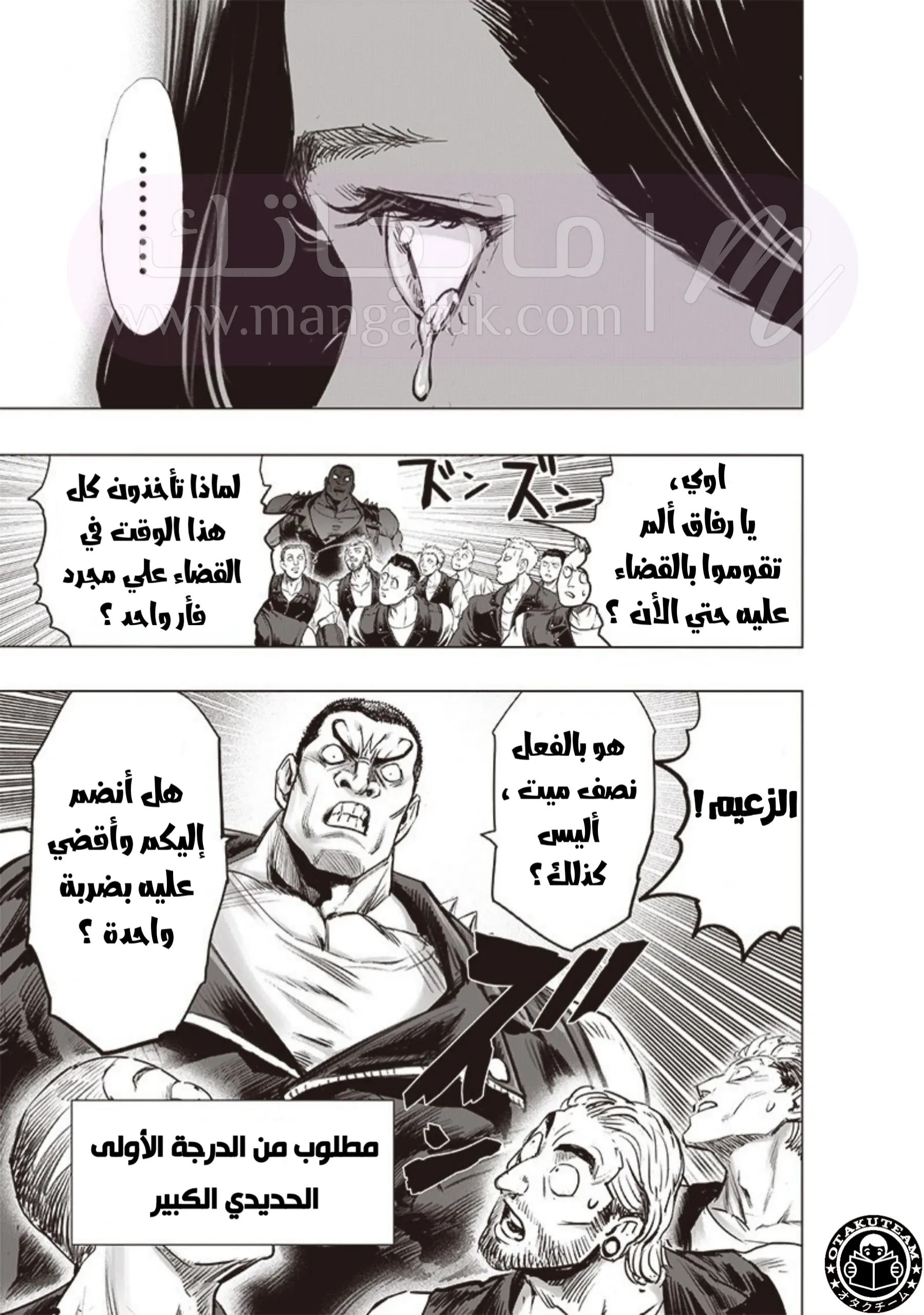 الصفحة 14