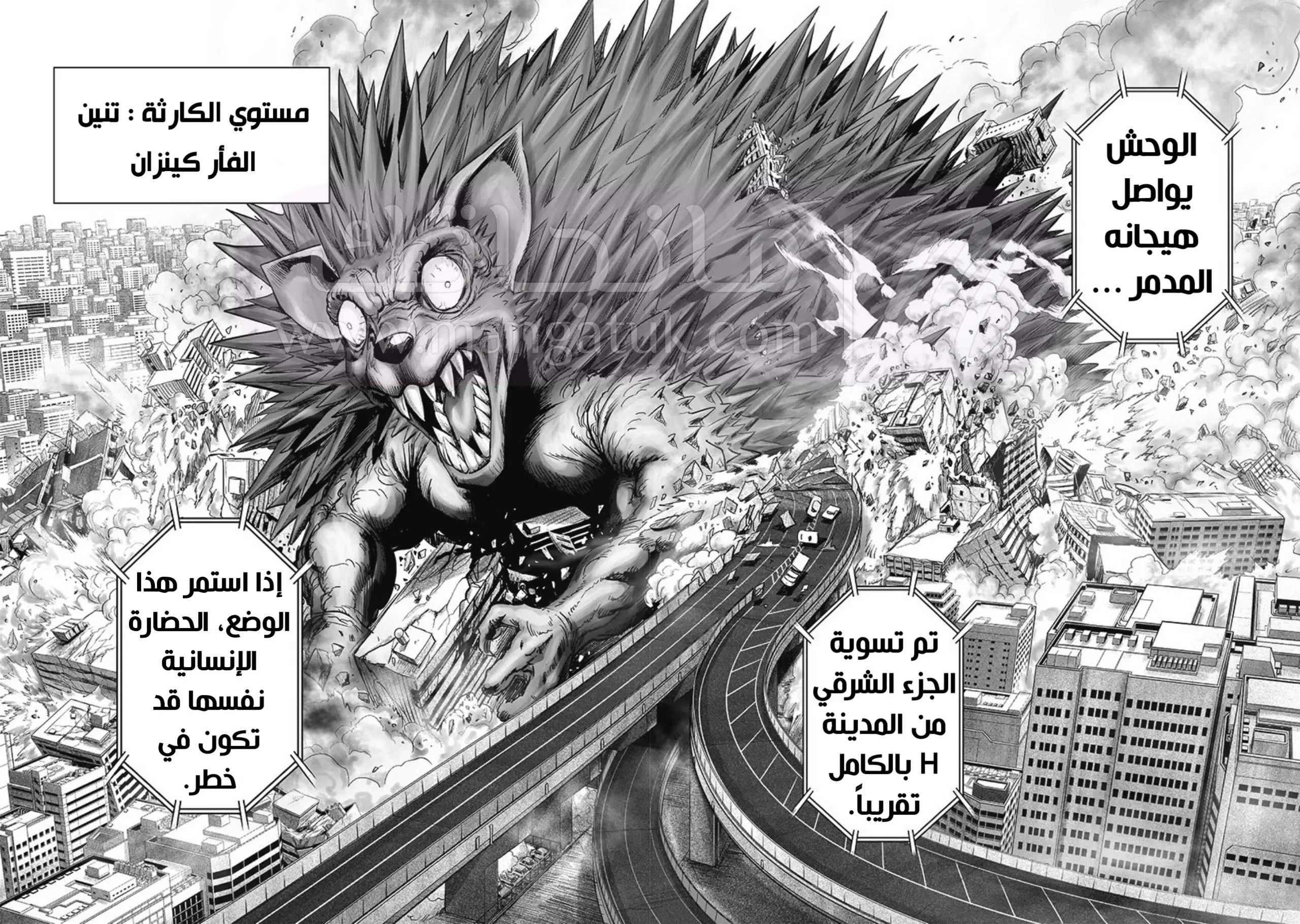 الصفحة 25