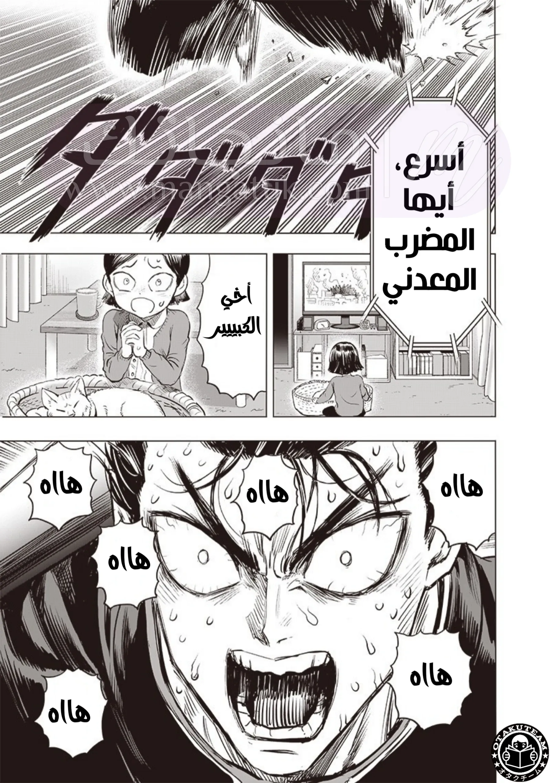 الصفحة 27
