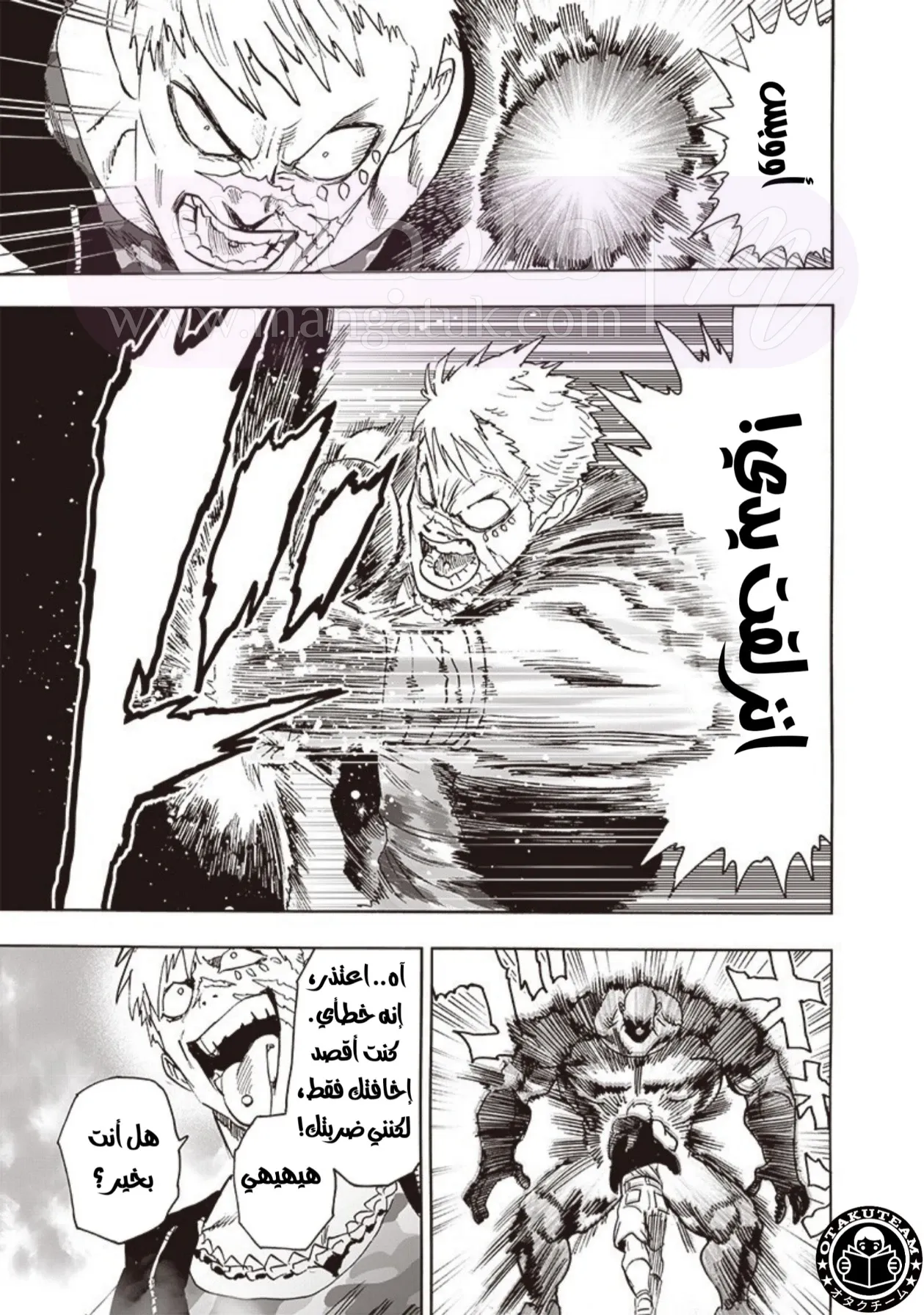 الصفحة 13