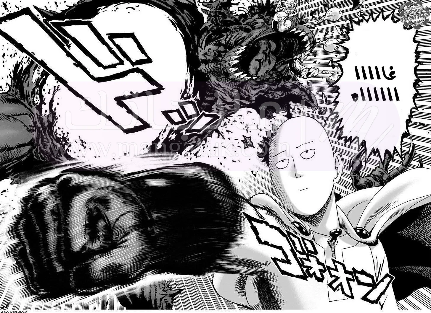 الصفحة 17