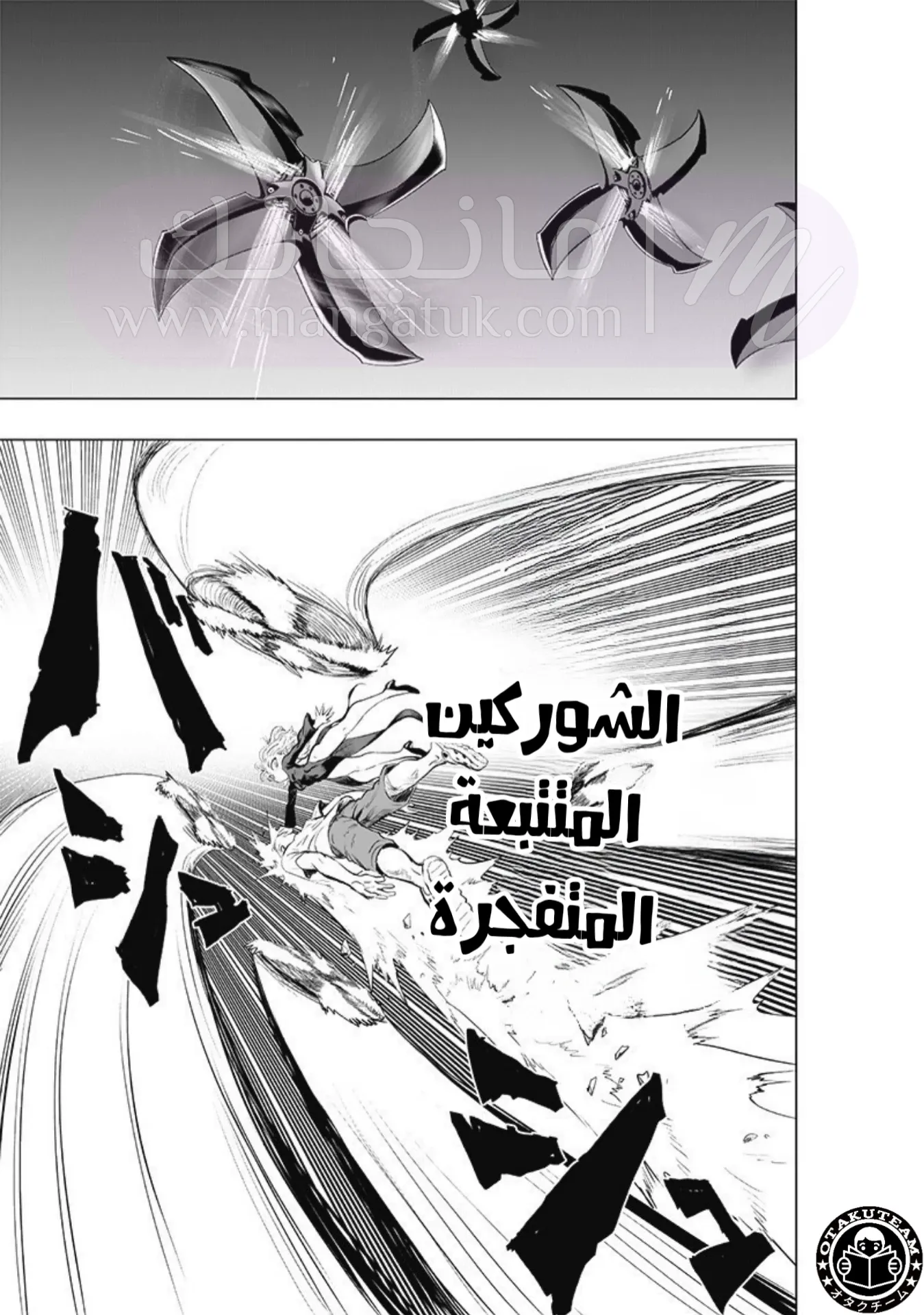الصفحة 12