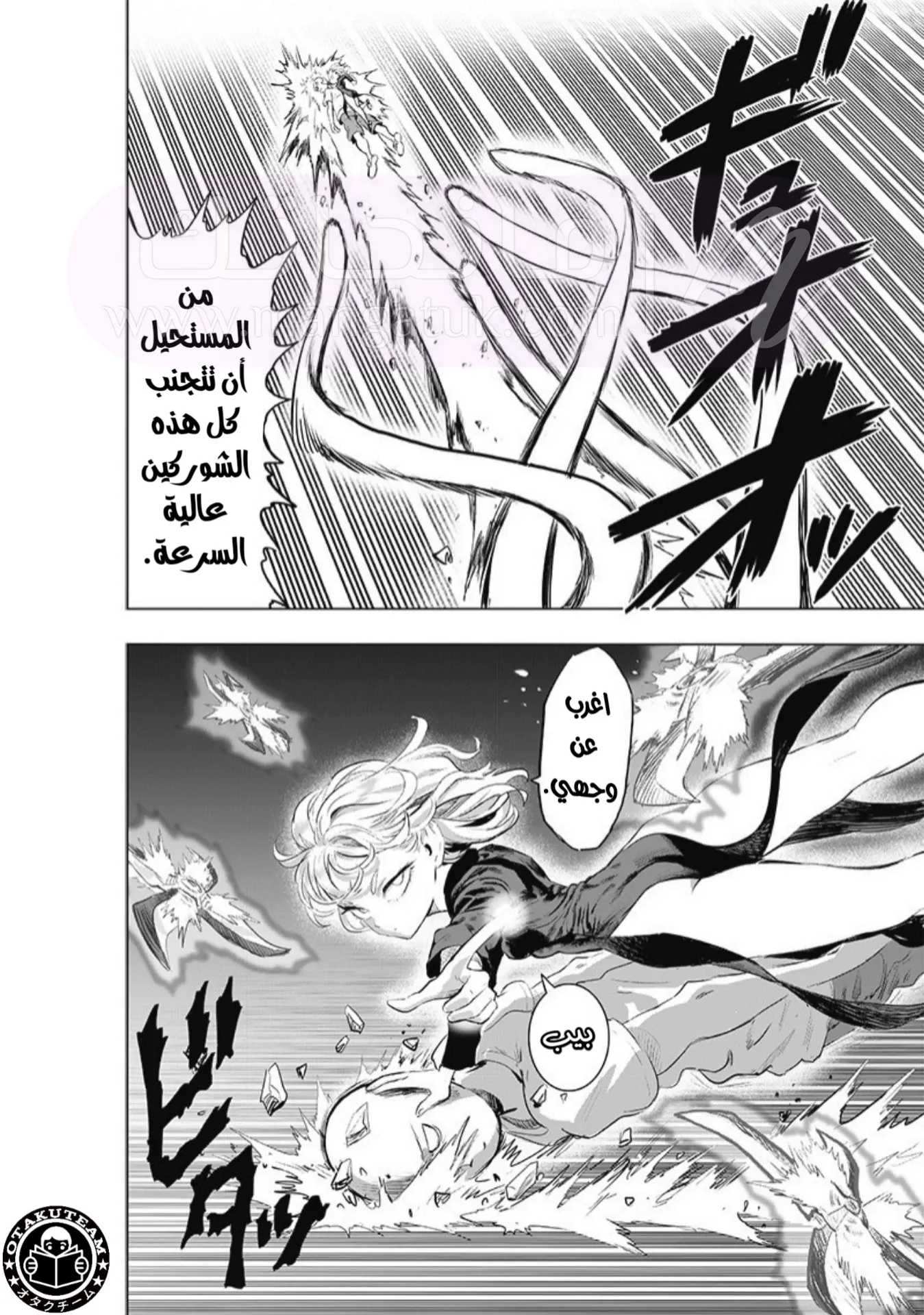 الصفحة 13
