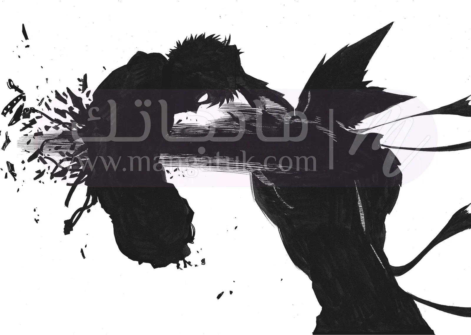 الصفحة 29