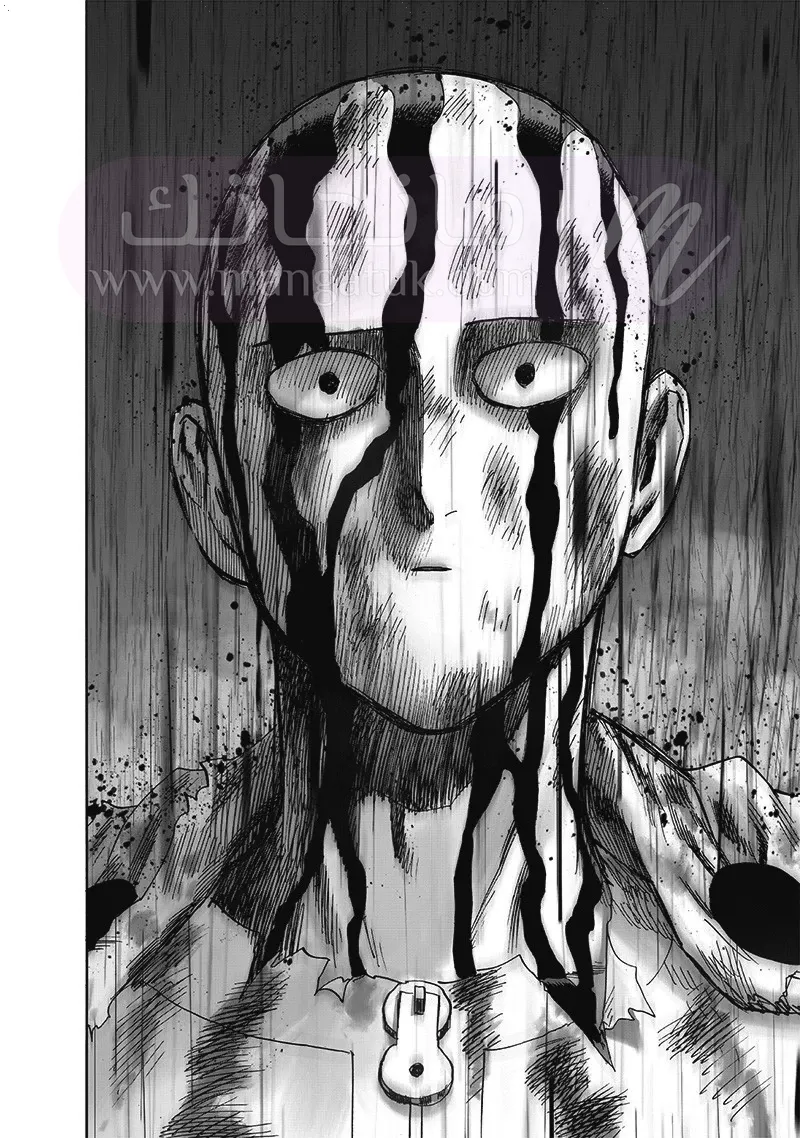 الصفحة 33