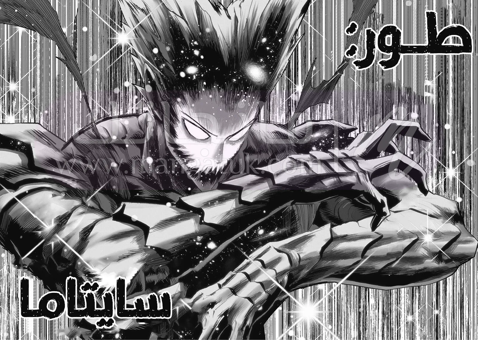 الصفحة 41