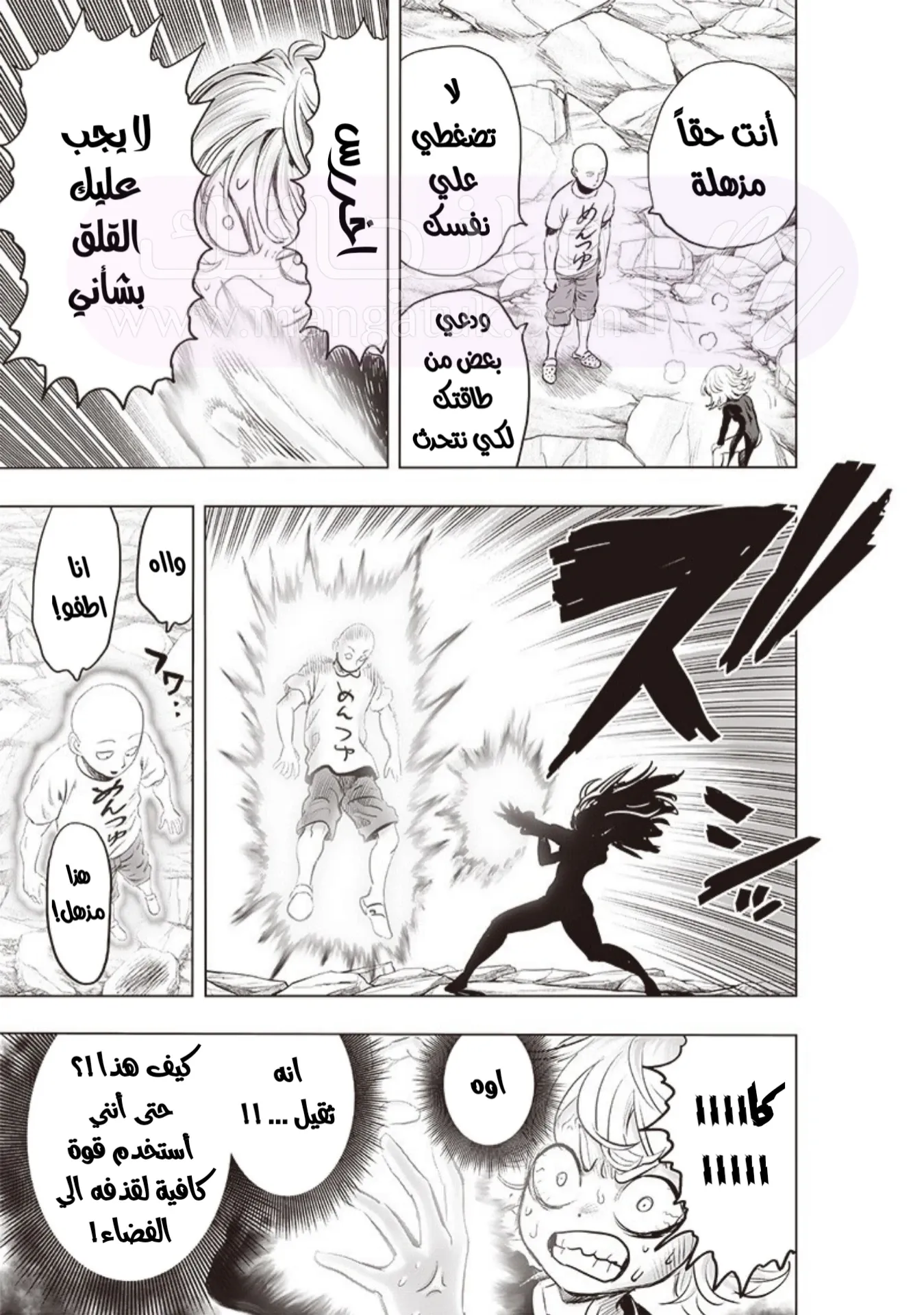 الصفحة 13