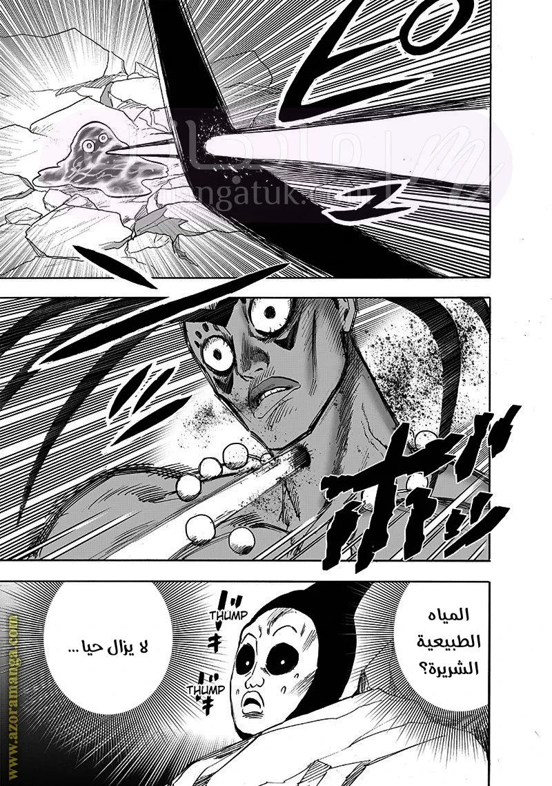 الصفحة 16
