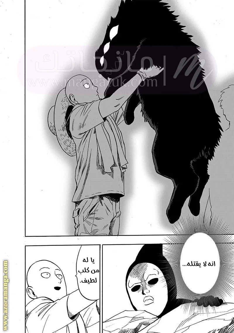 الصفحة 27