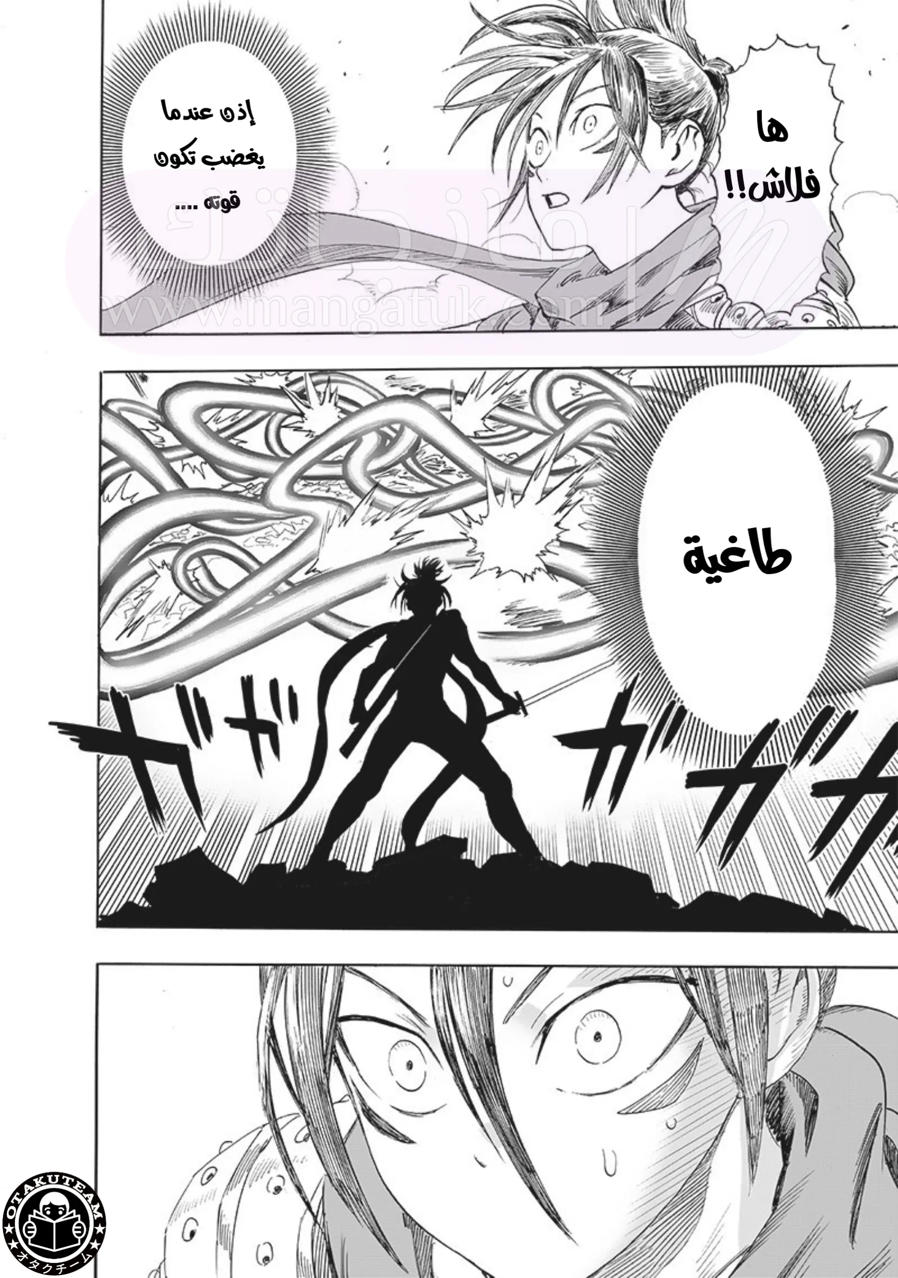الصفحة 12