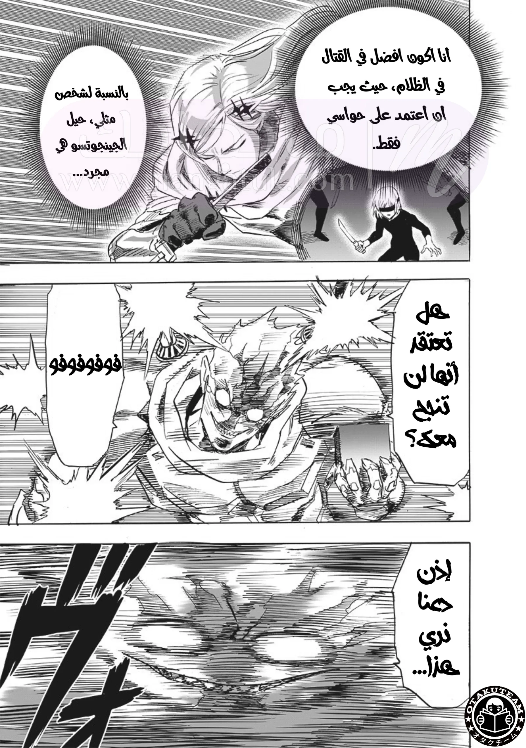 الصفحة 13
