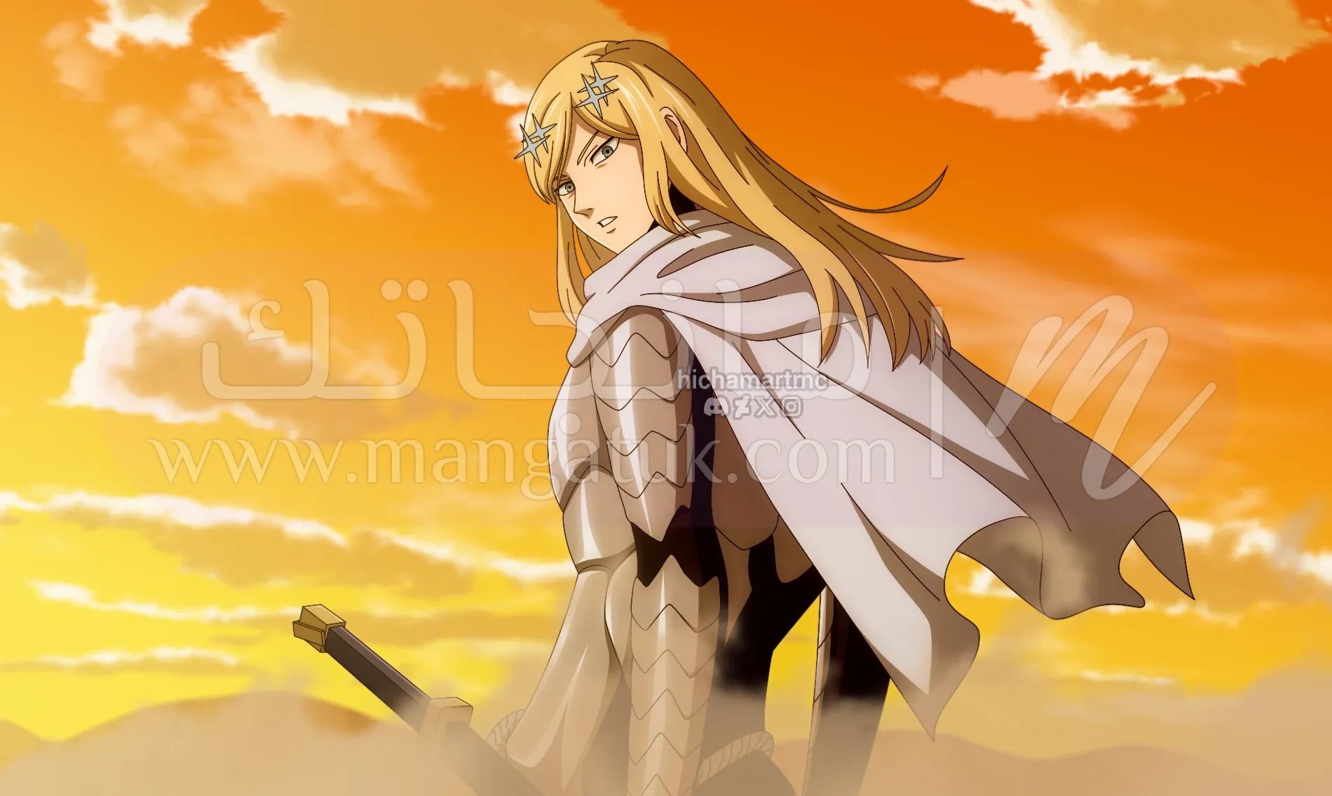 الصفحة 25