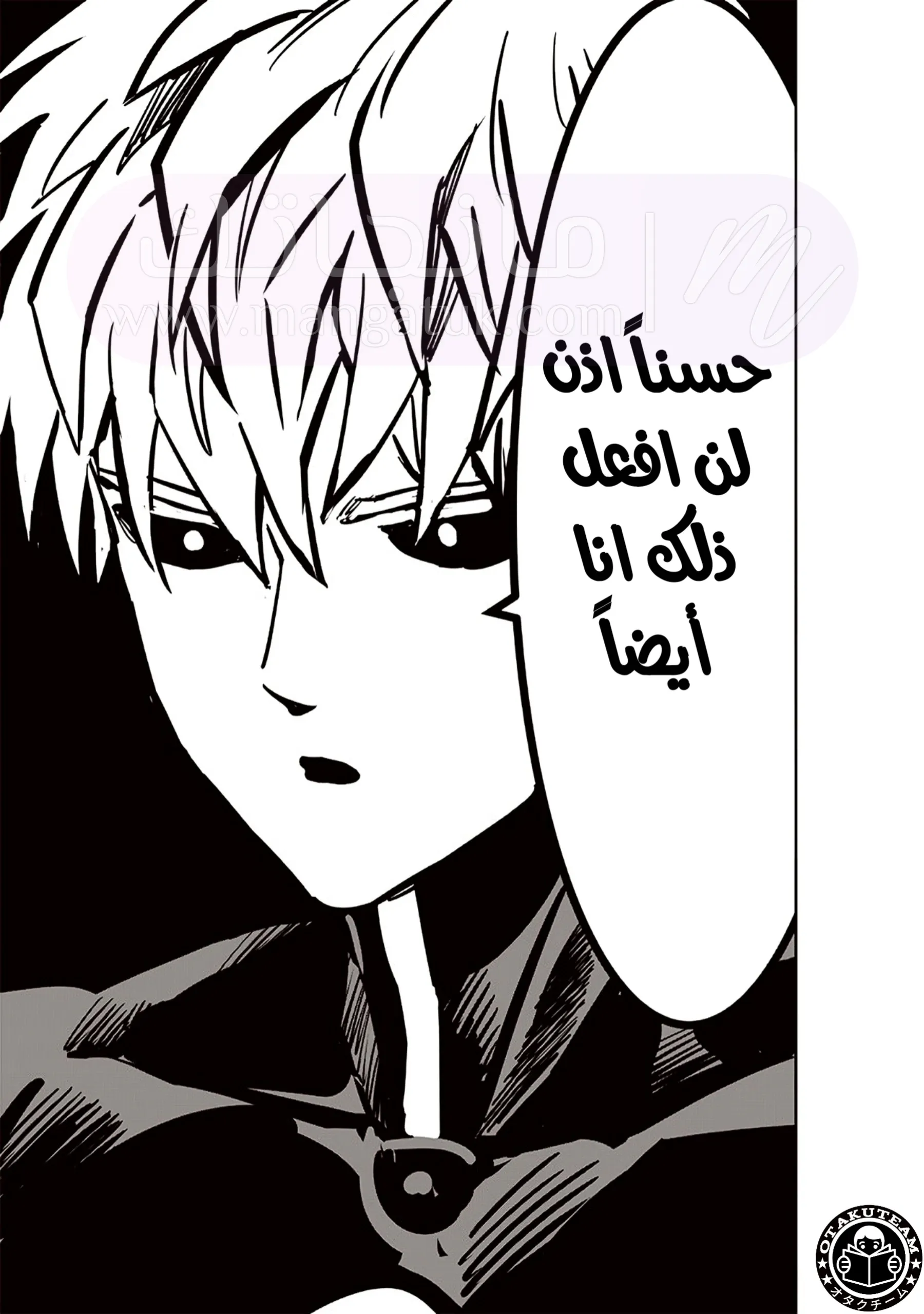 الصفحة 33