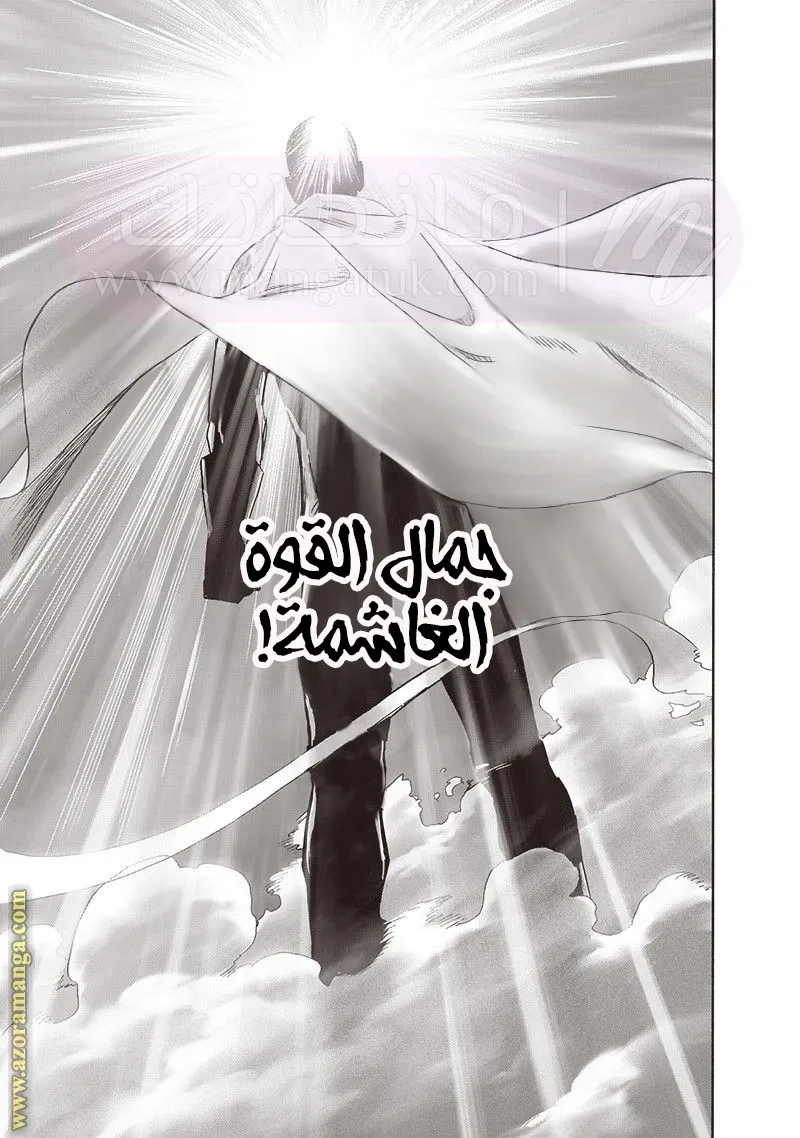 الصفحة 19