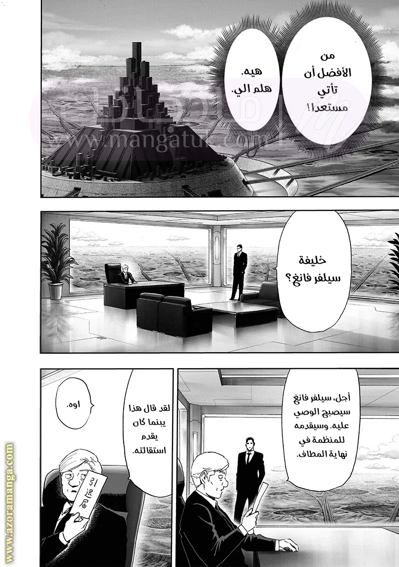 الصفحة 17