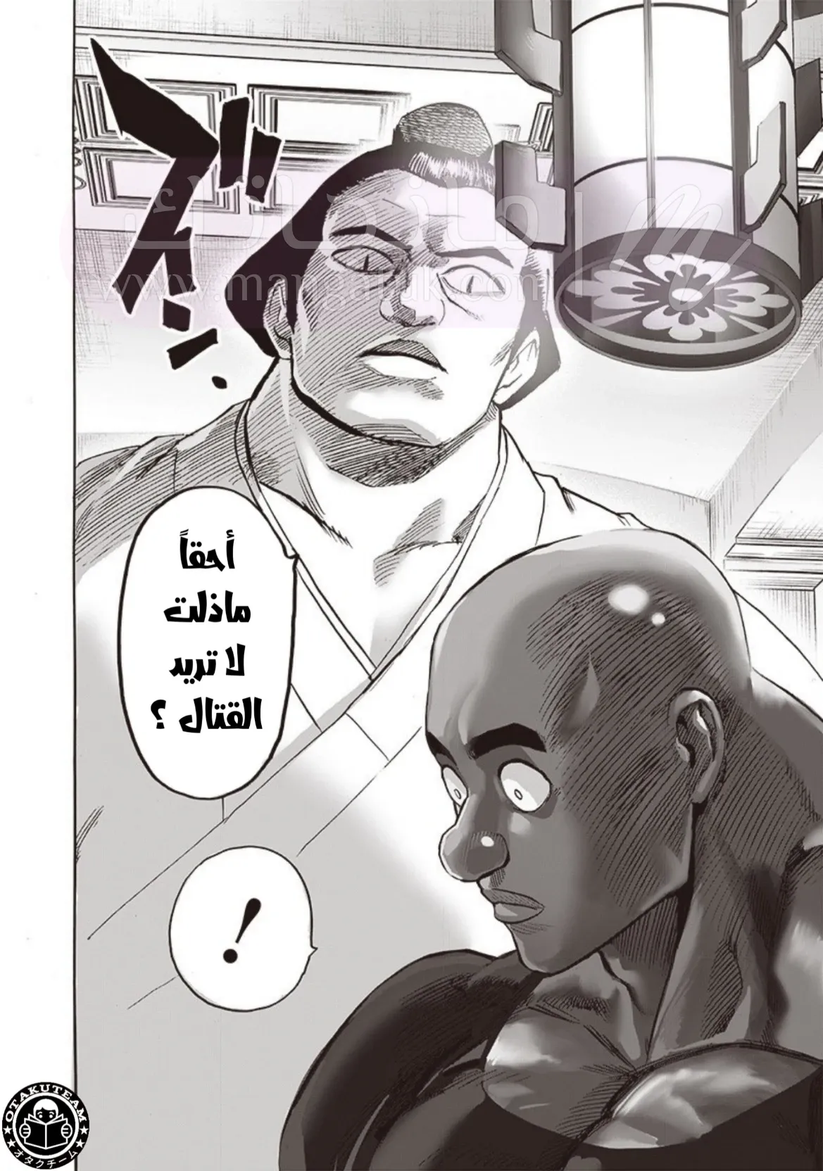 الصفحة 17