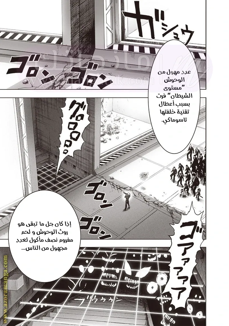 الصفحة 13